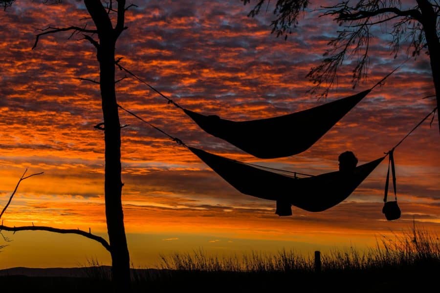 Two hammocks hanging between trees