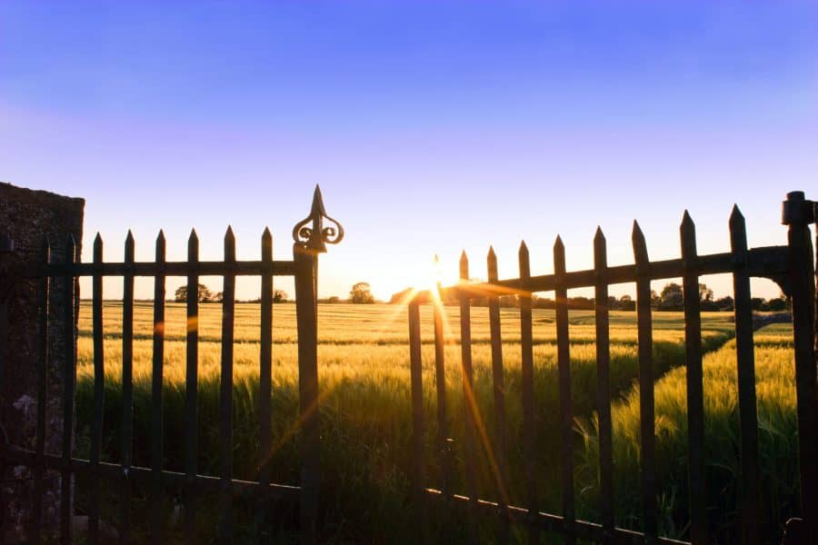 Gate in the sunset